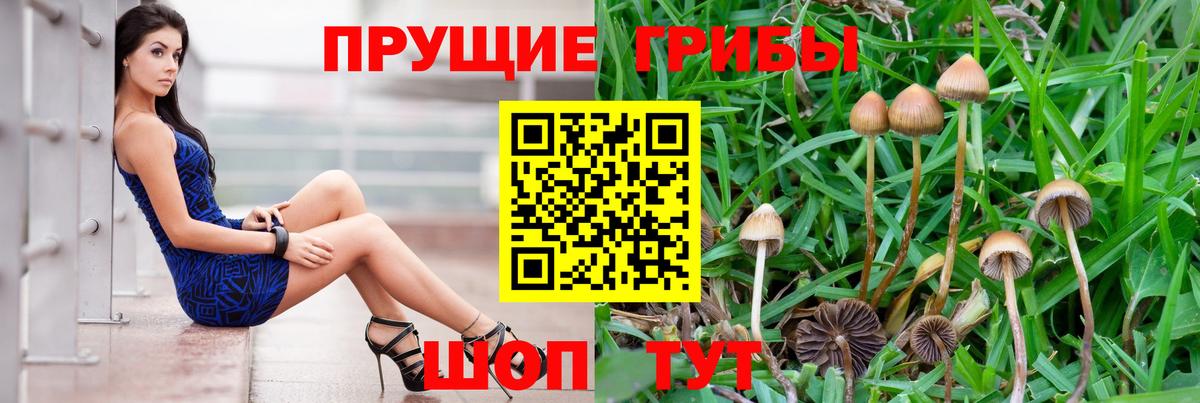 Галлюциногенные грибы мухоморы  Вход с VPN  наркотики  Корсаков 